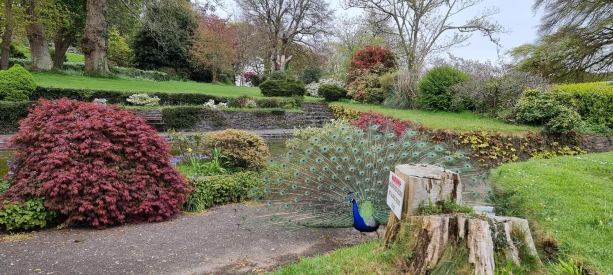 Great Trethew Manor Hotel & Self Catering Lodges Liskeard Eksteriør bilde